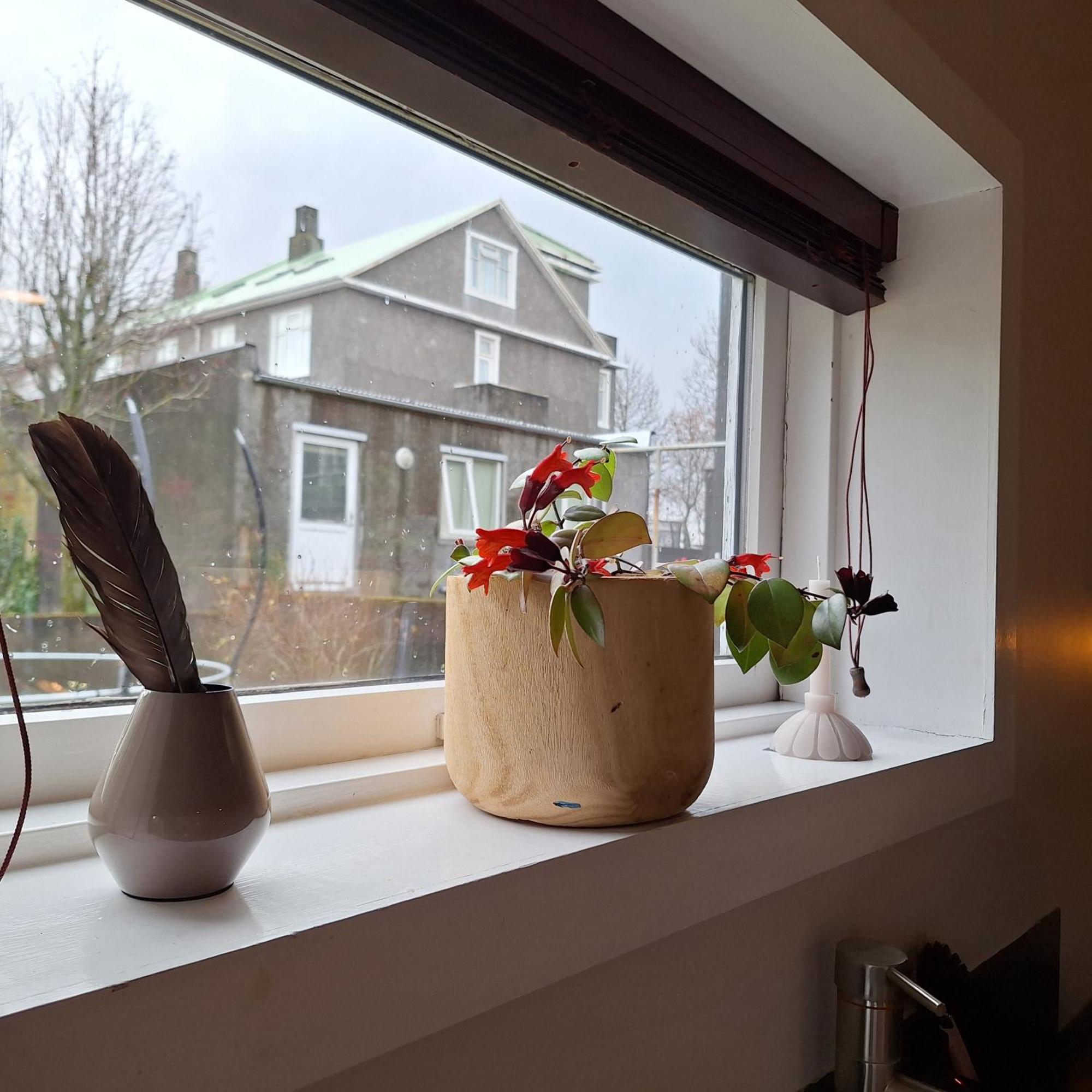 Central Reykjavik - Garden Cottage Reykjavík Exterior photo